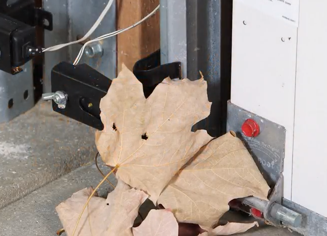 Feuilles mortes dans la porte de garage